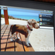 Image for article titled HP TouchPad Is Their 10-inch webOS Tablet